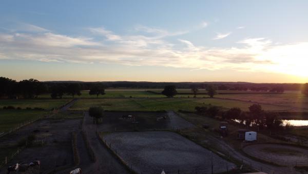 DJI 0071